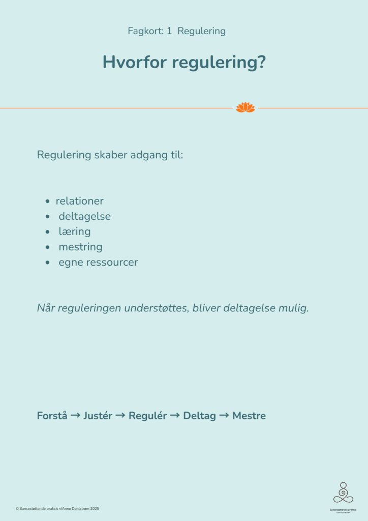 Hvorfor regulering? Fagkort om hvordan regulering understøtter relationer, deltagelse, læring, mestring og adgang til egne ressourcer.