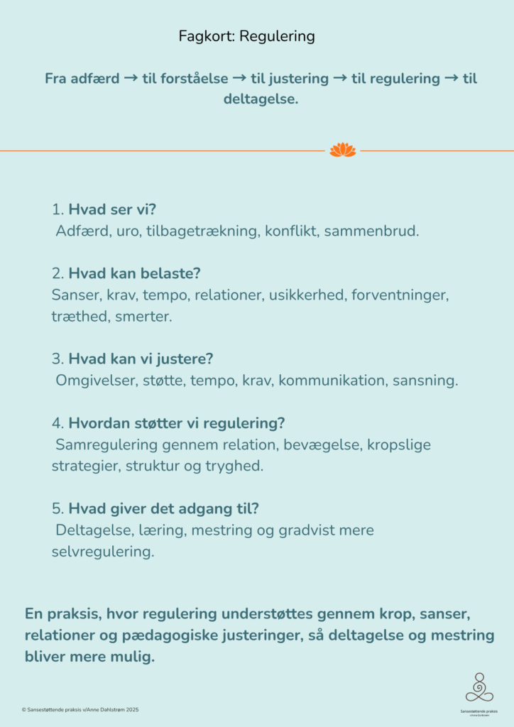 Fra adfærd til forståelse, justering, regulering og deltagelse. Fagkort om regulering ved autisme, ADHD og sansesårbarhed.